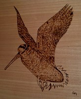 Κυνηγο-τεχνήματα, Πυρογραφία Μπεκάτσα